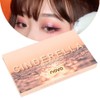 18 Colors Shiny Eyeshadow Palette Long Lasting Pearlescent Matte Eyeshadow