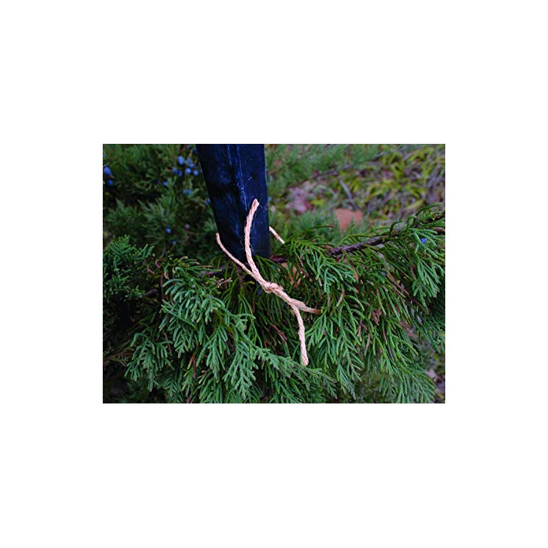 Dalen 100% Natural Jute Twine, 200 ft Roll