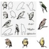 Birds Cutting Dies and Clear Stamps Animals Clear Stamps with