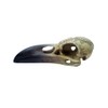 Gamital Alchemy Gothic Raven Skull - Omega | Fantasy Raven