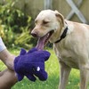 Hero - Chuckles Ball Plush Dog Toy - Dog Squeaky