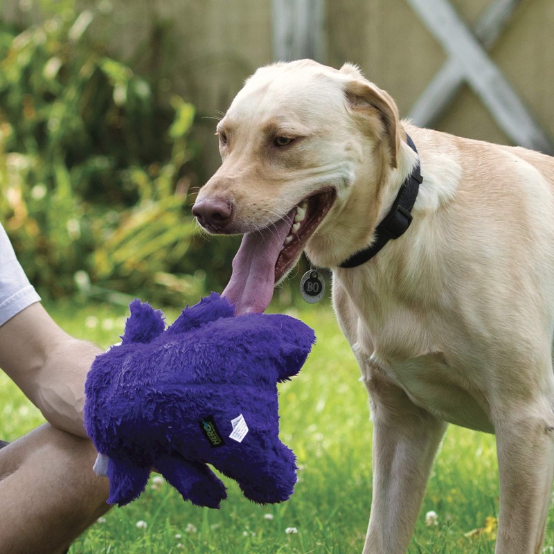 Hero - Chuckles Ball Plush Dog Toy - Dog Squeaky