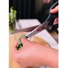Sumikama Kasumi 81001 Kitchen Scissors, Cooking, 3.7 x 9.4 x