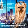 The Blissful Dog Drama Queen Luxury Dog Shampoo – Silky