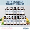 Pure Madagascar Vanilla Extract for Baking and Mixology-Premium Natural Flavoring