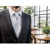 S&W SHLAX&WING Men's Necktie, Assorted Stripes, Plain, Dots, 57.9 inches