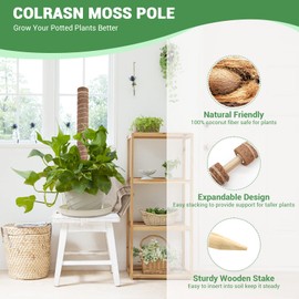 COLRASN Moss Pole for Plants Monstera, Extra-Long 122 inch Moss Poles for Climbing Plants, 6 Pcs 20.5" Coco Coir Pole for Indoor Plants Grow Upward, Moss Stick Totem Pole Plant Support
