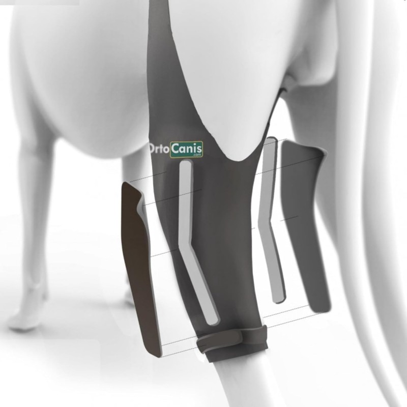 Ortocanis - Knee Brace for Dogs with Ligament Rupture and
