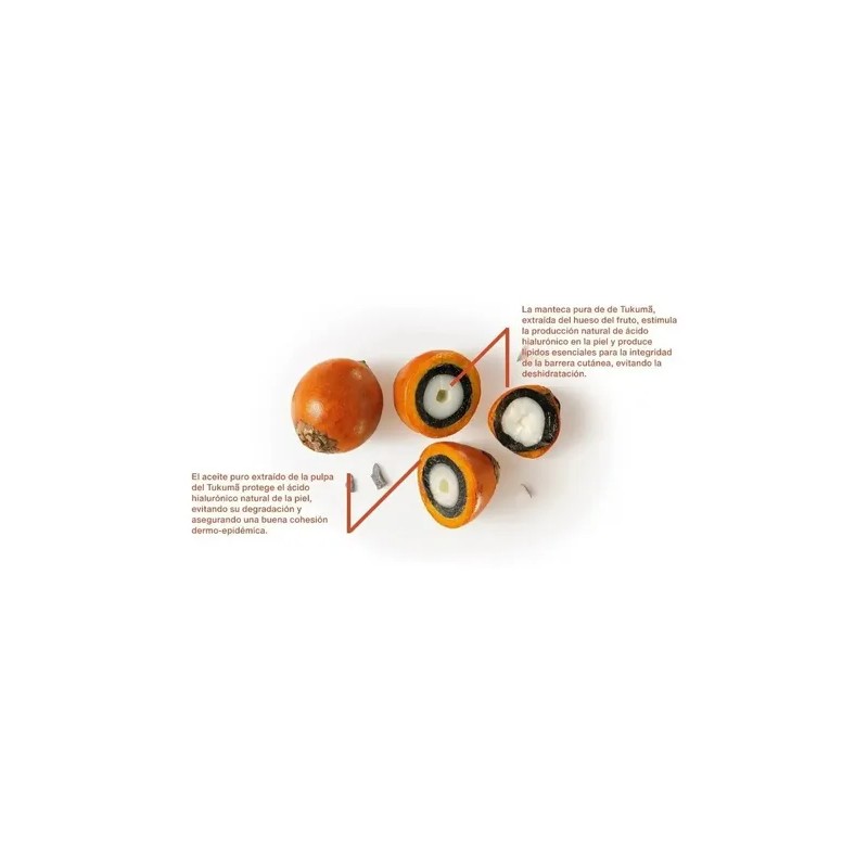 Pulpa Hidratante Para Manos Ekos Tukuma 75g Natura