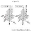 TAKAMIYA Simple Sabiki Large Catch 3 Piece Set Needle No.