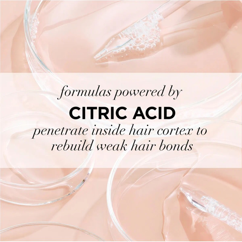 L'oreal Paris Everpure Sulfate Free Bond Repair Pre Champú T