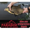Paradox Fishing Method Feeder Set of 4 30g/40g/50g/60g + Mould
