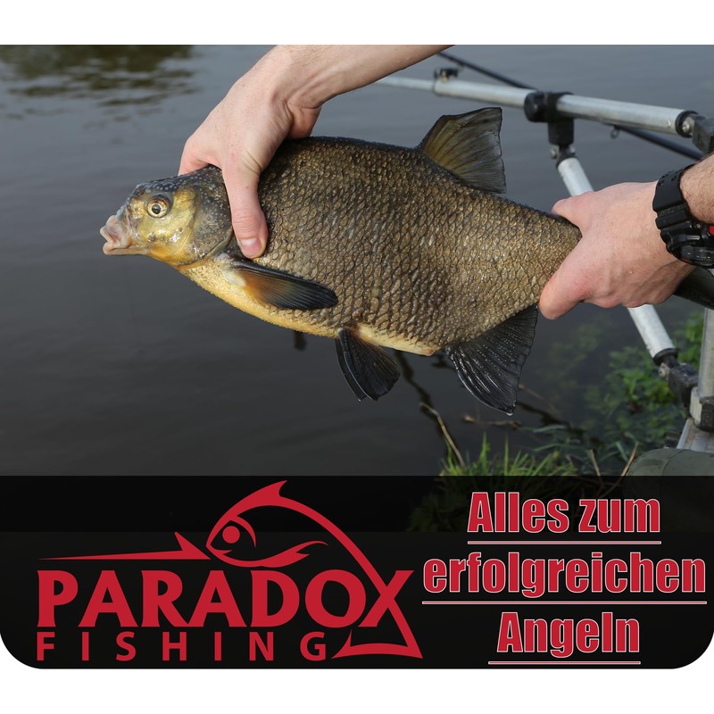 Paradox Fishing Method Feeder Set of 4 30g/40g/50g/60g + Mould