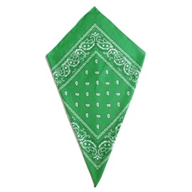 Green Paisley Bandana Head Scarf