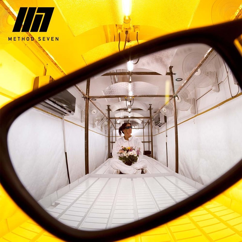 Method Seven Coup HPS Crystal Candy Green Grow Room Glasses