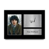 HWC Trading Finn Wolfhard Mike Wheeler Gifts Printed Autograph Display