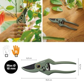 Fiskars Urban Plant Care Care 1075317 3-Piece Plant / Flower Scissors with Holder, Small Plant Shears with Holder, Stainless Steel/Plastic, Dark Green/Black