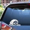 Grim Reaper Peeker JDM Decal, Death Decal, Drift Decal, Slow