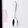 Takakuwa Metal Lunch Spoon with Case, Leaf Pink, Set of
