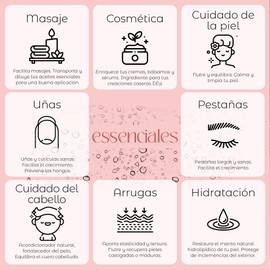 Essenciales - Macadamia Essential Oil 100% Natural 100ml | Macadamia Ternifolia Essential Oil