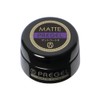 PREGEL マットコートR 4g
