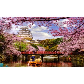Palace of Dreams - Himeji Castle 500 Piece Puzzle