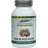 Birch Polypore Supplement (1000mg) - 120 Capsules