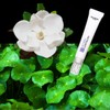 TROIAREUKE Acsen AC Spot Solution 15ml
