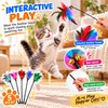 5-Piece Cat Feather Wand Toy Set for Interactive Play –