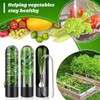WADY 3 pcs Herb Keeper, Herb Saver for Refrigerator, Herb
