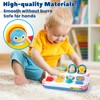 Montessori Cause and Effect Toy 6-12 Months, Baby Push Button