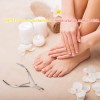 SHINETOUR Stainless Steel Nail Cuticle Pliers Pedicure Pliers Alicate Para