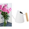 Watering Can with Long Spout Rustproof Stainless Steel Watering Pot
