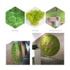 Preserved Moss Gardenning Art Wall Decor Moss Bulk Micro Landscape