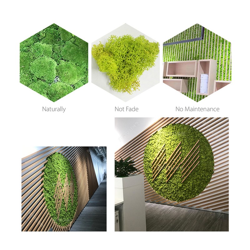 Preserved Moss Gardenning Art Wall Decor Moss Bulk Micro Landscape