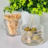Glass Toothpick Holder with Bamboo Toothpicks – Decorative Crystal Toothpick