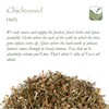 Chickweed Tea Herb - Chick Weed Herb - Stellaria Media