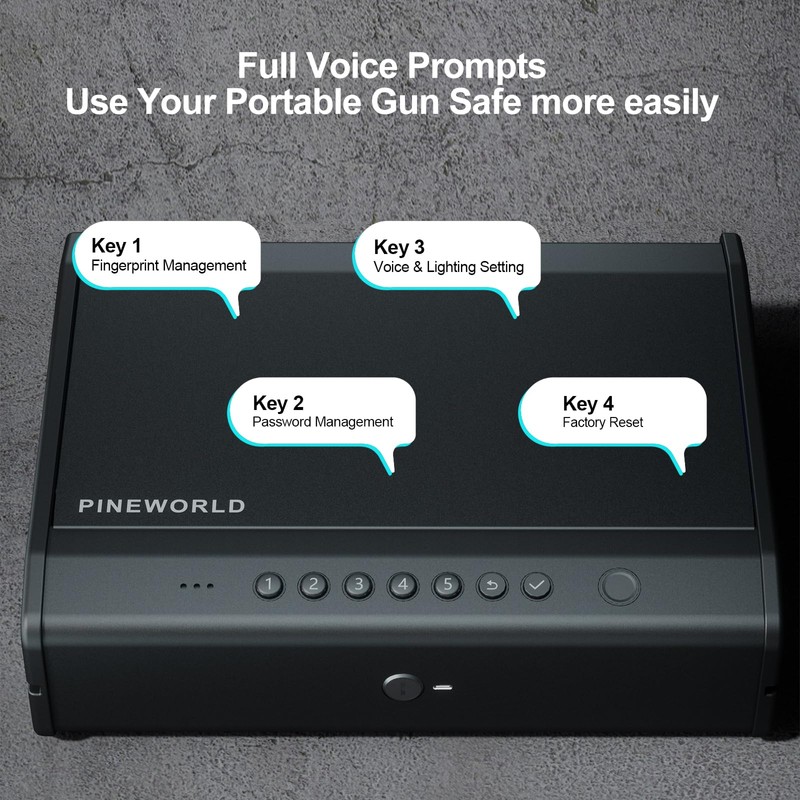 PINEWORLD Biometric Gun Safe For Handgun, Pistol Safe with Fingerprint/Backlit