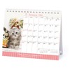 2026 Calendar Kitten (Tabletop)