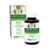 Wild Karde (Dipsacus fullonum or Dipsacus sylvestris) Roots Naturalma -