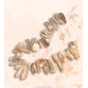 HS Driftwood & Shell Nautical Garland