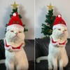 SUNTRADE Christmas Cat Costumes, Santa Hats and Collar with Bell