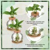 Baderke 2 Packs Propagation Vases for Plants Plastic Plant Propagation