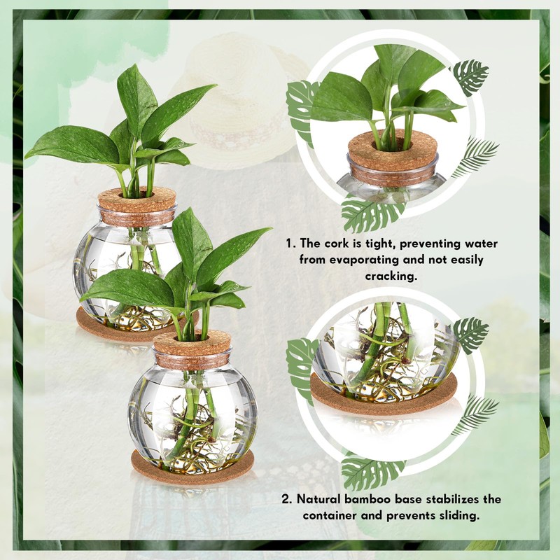 Baderke 2 Packs Propagation Vases for Plants Plastic Plant Propagation
