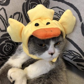 Cute Pet Headwear Cap Decoration Hat Cat Cute Novel Animal Duck Shape Pet Costume Decoration with WING for Cats & Dogs