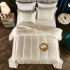 Bedding_Dreamer Satin Comforter Queen Silk Like Cream Comforter Silky Alternative