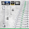 SK Reversible Ratcheting Wrench Set, Combination Wrench Set, 16-Piece, Metric,