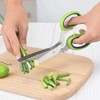 Herb Shears, Kitchen Salad Scissors Stainless Steel with Cover, Herb