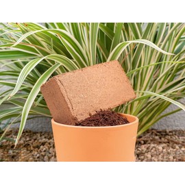 Coco Coir for Plants 3-Pack – 2.4 Gallons Compressed Coconut Coir Bricks, 10 lb. Organic, Low EC, pH Balanced Coco Peat for Indoor & Outdoor Gardening, Potting Soil, Indoor Plant Soil