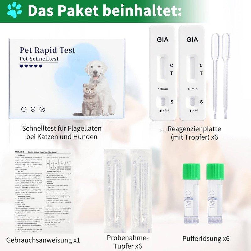 Galle Bear 6 x Giardia Quick Test for Dogs and